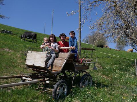 Familie Vögeli